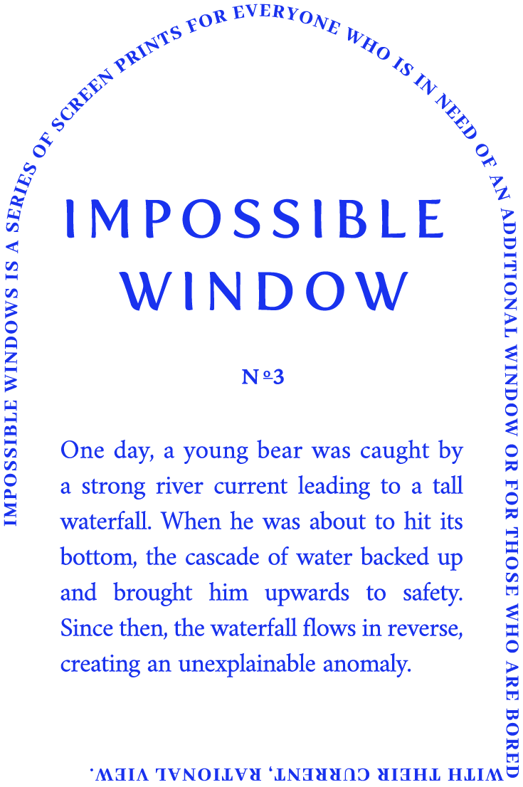 Impossible Window screenprints by Eugenia Wasylczenko